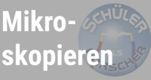 SaF_Mikroskopieren